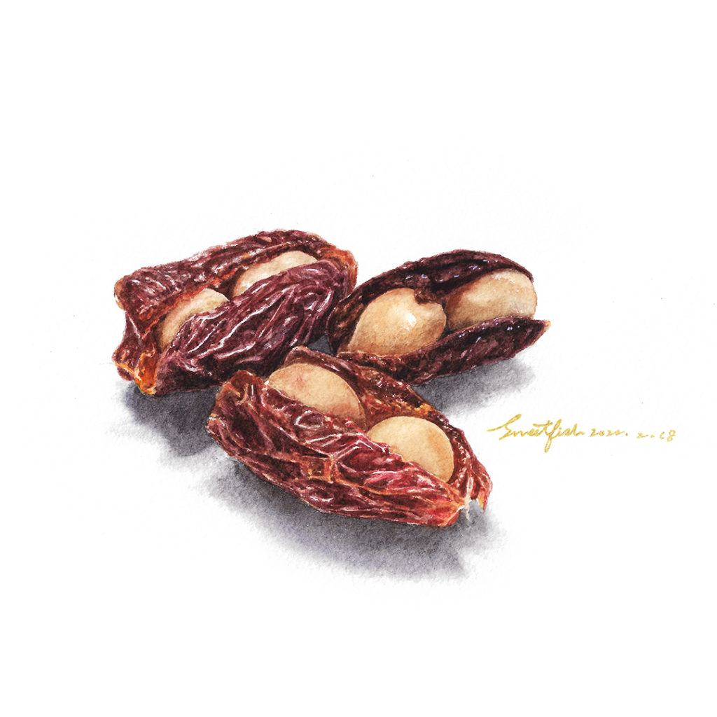 pineapple-flavoured-dates-with-macadamias-watercolor-food-illustration-by-sweetfishfoodart