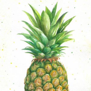 Read more about the article 鳳梨｜Pineapple