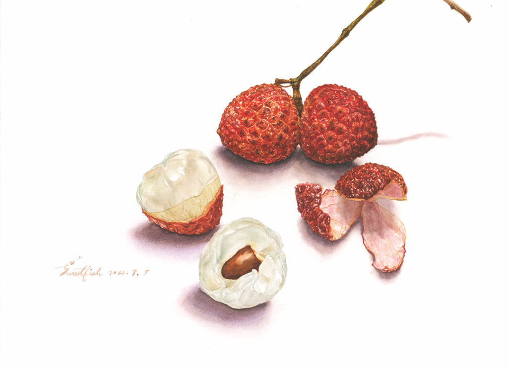 lychee-watercolor-food-illustration-by-sweetfish-food-art-complete