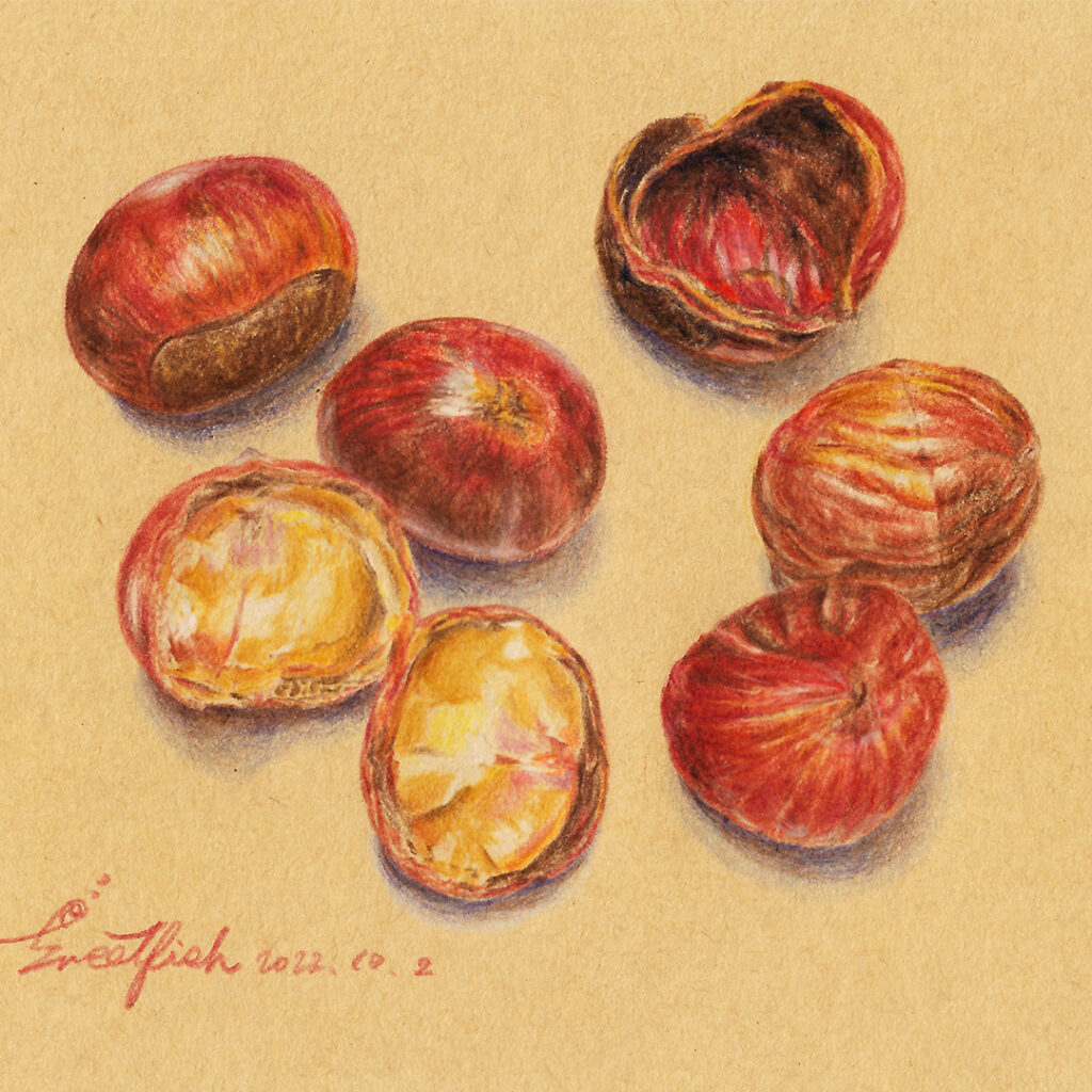 chestnuts-colored-pencil-food-illustration-by-sweetfish-food-art